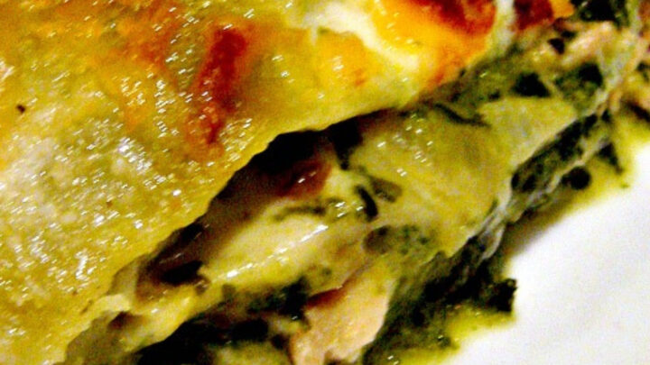 Chicken Garlic and Spinach LasagnaH