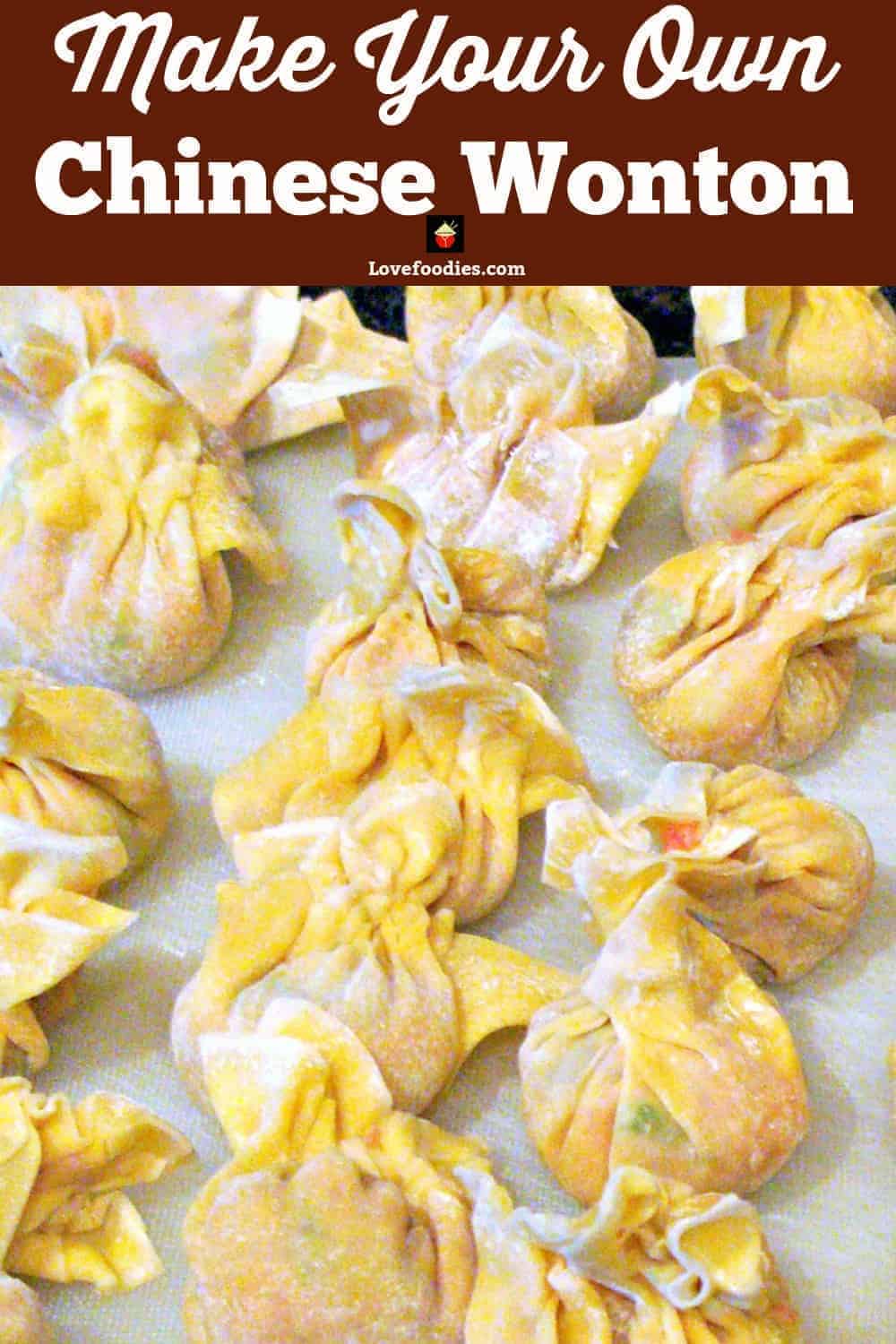 Chinese Wonton, how to make, step by step instructions