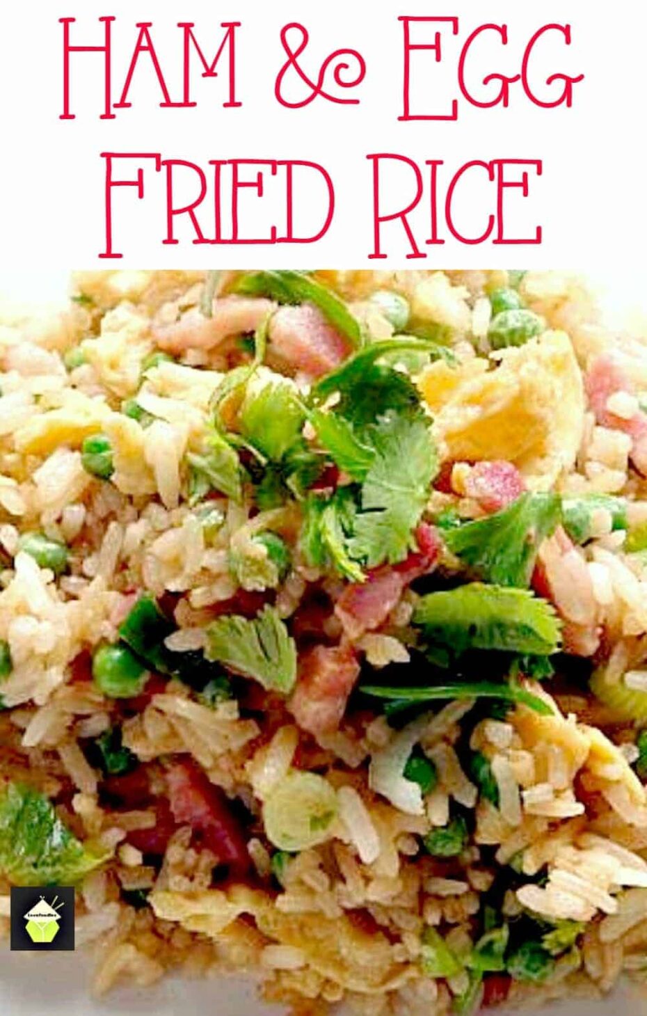 Crock Pot Luau Ham Lovefoodies