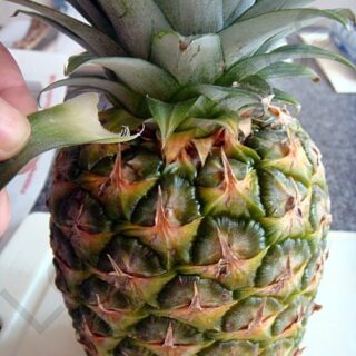 How to Prepare a Pineapple With Minimum Waste