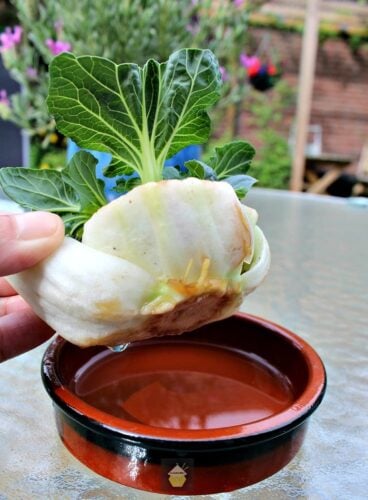 How To Re Grow Bok Choy