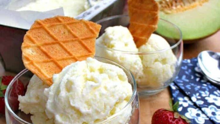 Easy Melon Ice Cream4