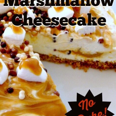 No-Bake Caramel and Marshmallow Cheesecake 10 No Bake Caramel and Marshmallow Cheesecake Incredibly easy no-bake dessert, filled with mini marshmallows and laced with caramel. A Perfect chilled dessert