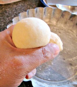 Knead Rise and Shape Dough