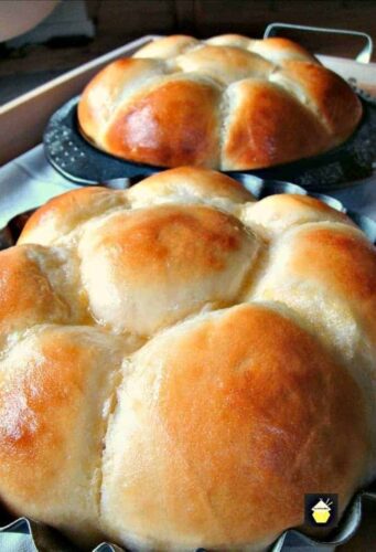 ALOHA BREAD! I made the recipe super easy for you, the rolls are sweet, soft, and oh yes..... they even say Aloha when you bite into them!