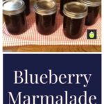 Blueberry Marmalade 6 How To Make Blueberry Marmalade. This is a wonderful recipe and an old family favorite!