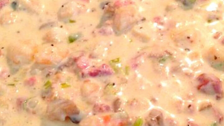 Creamy Shrimp SauceH