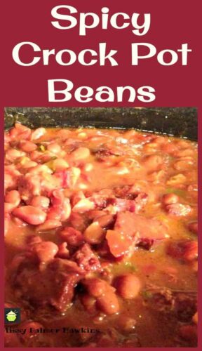 Spicy Crock Pot Beans. You can eat this on it's own or add some delicious left over ham in there. Great easy recipe! Goes really well with some cornbread too!