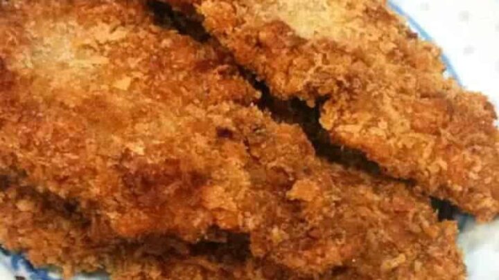 Tasty Breaded Pork2