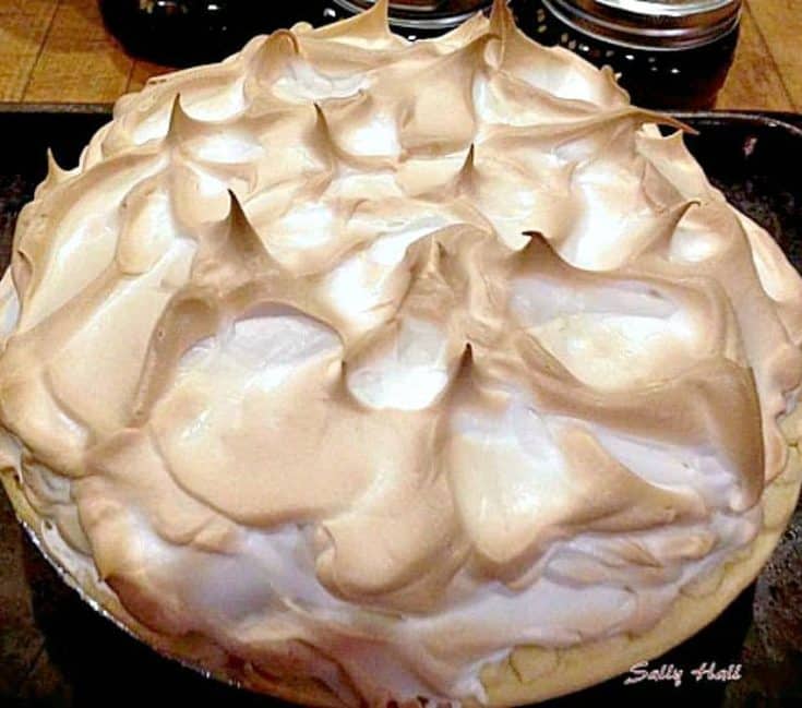 Chocolate Meringue Pie