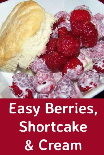Easy Berries, Shortcake and Cream. This is a lovely, very easy recipe and freezer friendly so you can make this up very quickly. Choose your favorite berries and enjoy!