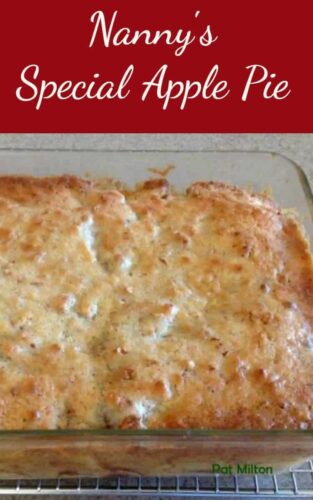 Nanny Pat's Special Apple Pie This apple pie is an old family recipe and always very popular, especially for those who prefer a crustless pie!