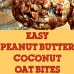 Easy Peanut Butter Coconut Oat Bites. Packed full of tasty goodies, and quick & Easy to make!
