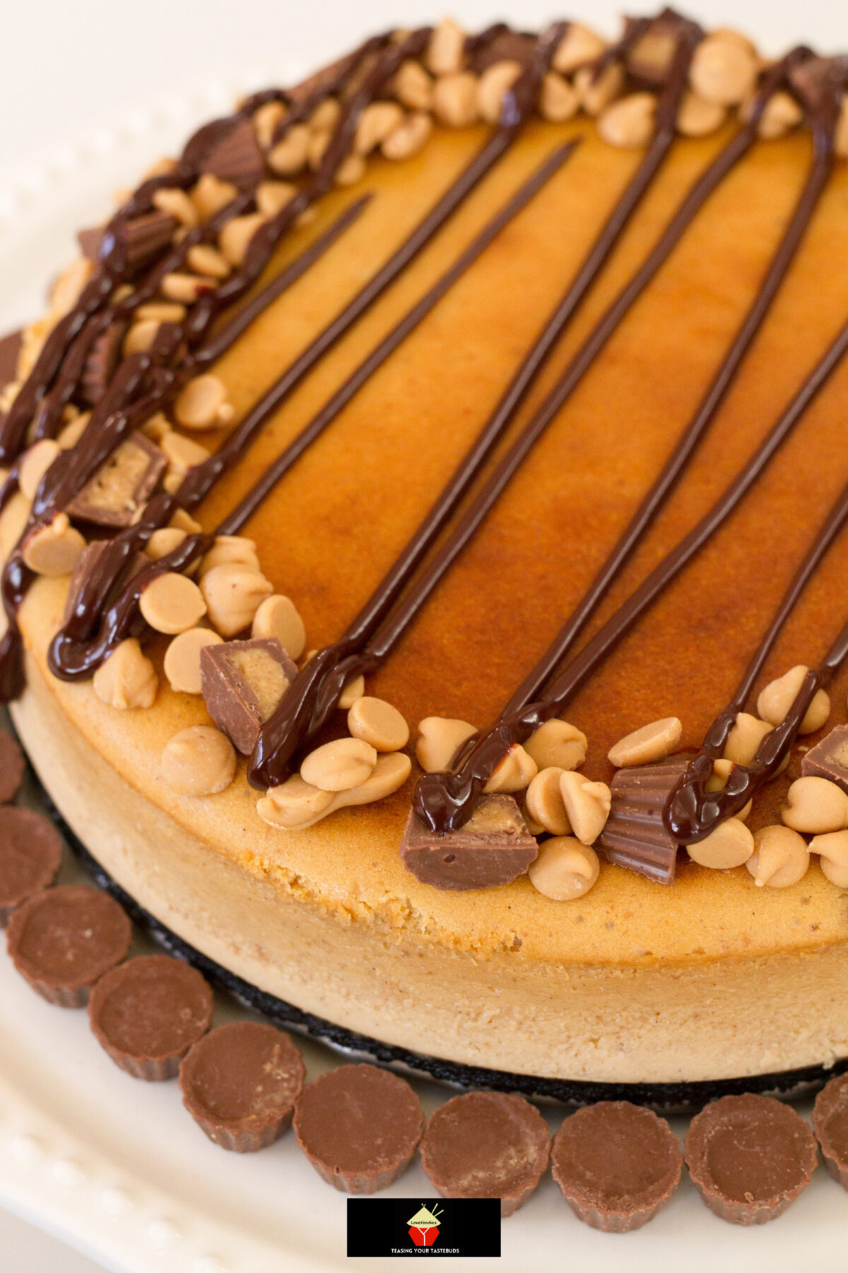 Peanut Butter Brownie Cheesecake 6 Peanut Butter Brownie Cheesecake, a popular baked cheesecake with a brownie base and peanut butter filling. Perfect for chocolate lovers and great for parties and celebrations.