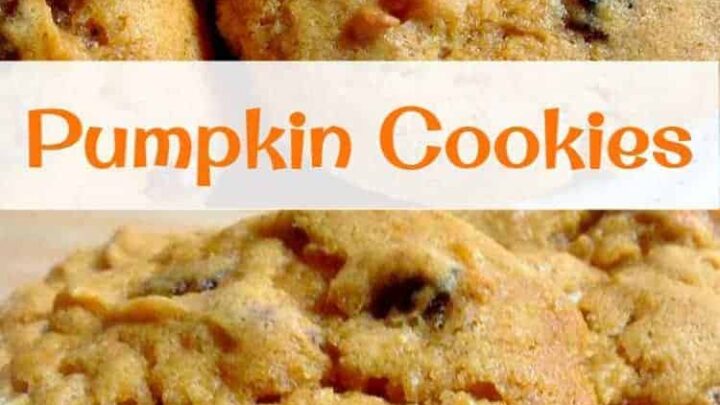 Pumpkin Cookies