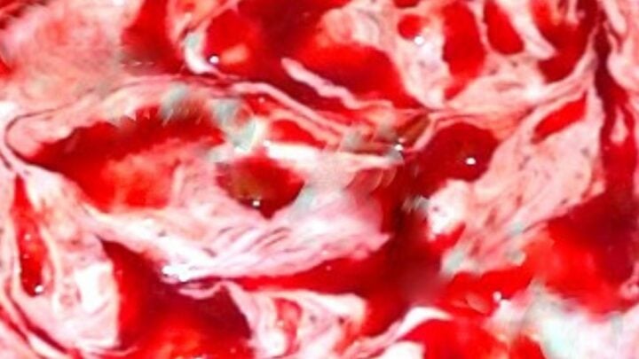 Raspberry Rhubarb or Strawberry Pie with Cream Cheese SwirlH