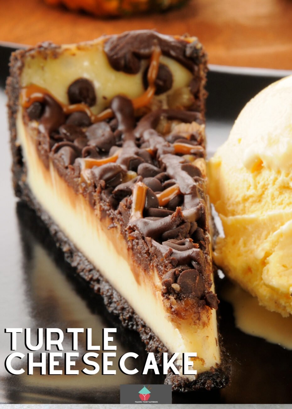 Turtle Cheesecake Turtle Cheesecake is a delicious creamy baked cheesecake topped with pecans, caramel, and chocolate. A perfect combination of deliciousness in every bite. Great for parties and celebrations.