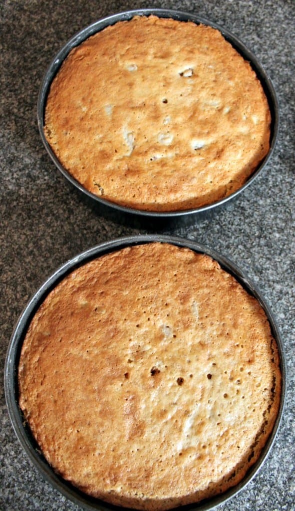 Classic Victoria Sponge Cake. Cooling in pan Classic Victoria Sponge Cake. Cooling in pan