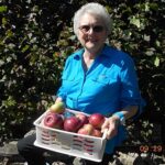 Nanny Pat's Special Apple Pie - This apple pie is an old family recipe and always very popular, especially for those who prefer a crustless pie!