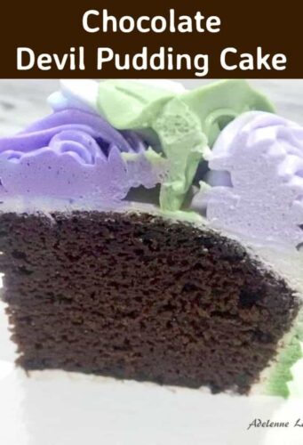 Chocolate Devil Pudding Cake. A super easy and soft, moist cake perfect for chocolate lovers . Also recipe for a delicious whipped cream frosting too!
