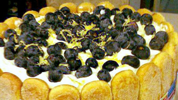 Limoncello TiramisuH