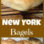 Homemade Fresh Bagels - Great instructions and recipe for how to get your bagels perfect! What toppings would you choose? Sweet or Savory?