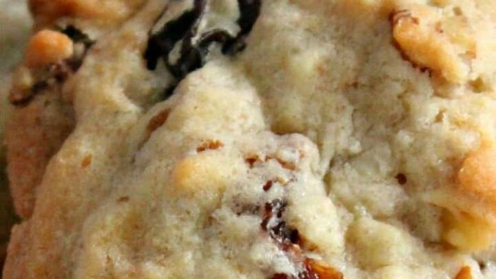 Pecan Raisin Cookies 7 Pecan Raisin Cookies. Delicious easy cookies perfect with a glass of milk or cup of tea! Also great for gifts! | Lovefoodies.com