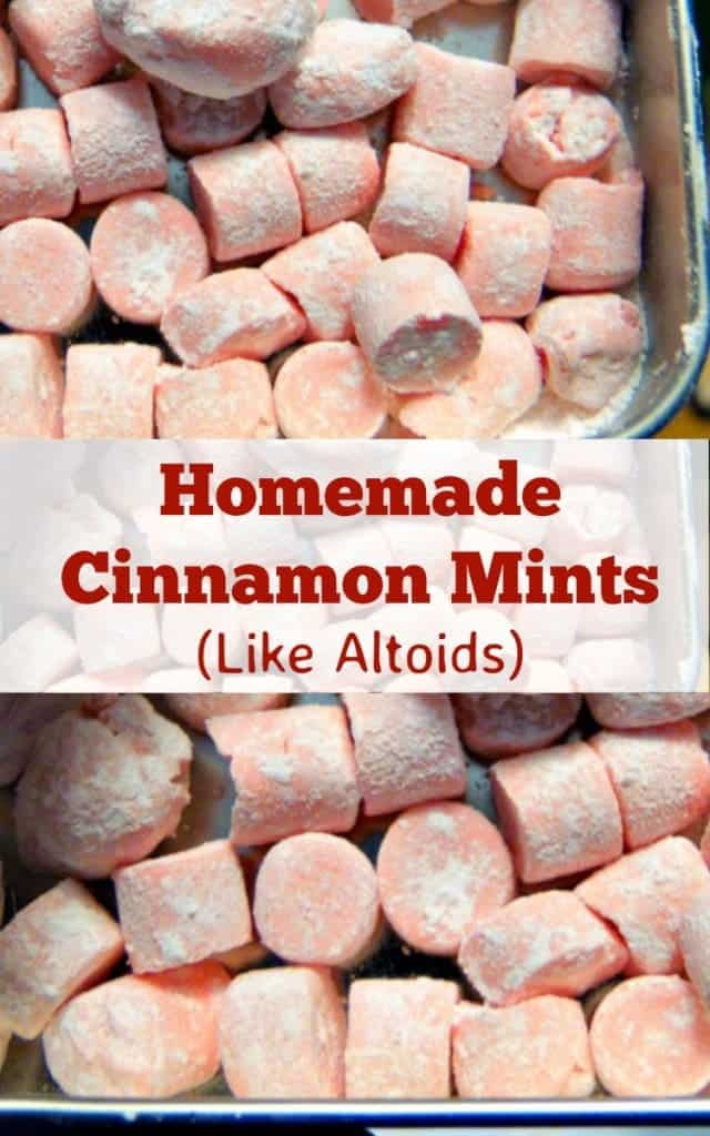 Homemade Cinnamon Mints Like Altoids Lovefoodies