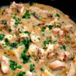 Creamy Chicken Stroganoff is a quick and easy dinner, with delicious strips of chicken and sauteed mushrooms in a creamy sauce using low fat yogurt! | Lovefoodies.com