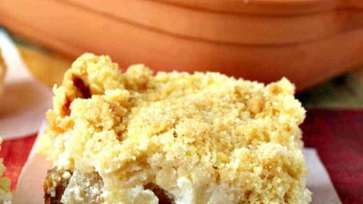 Delicious Apple Crumble Bars. These are absolutely out of this world! Chunks of apple filling on a lovely shortbread base and topped off with a delicious crumble. Really easy recipe too! | Lovefoodies.com