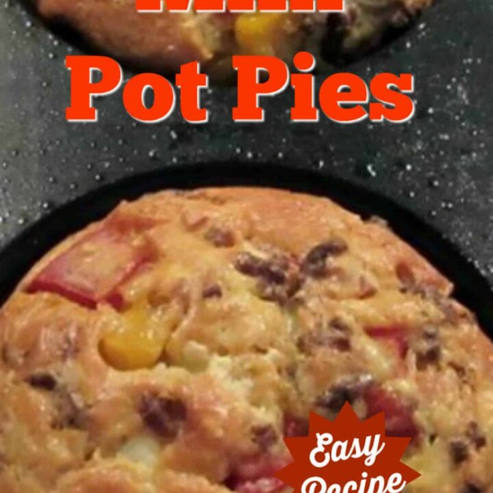 Mini Pot Pies & Homemade Bisquick Mix 7 Mini Pot Pies with lots of filling suggestions, such as chicken, beefburger, bacon and crab. There's also a homemade Bisquick Mix recipe