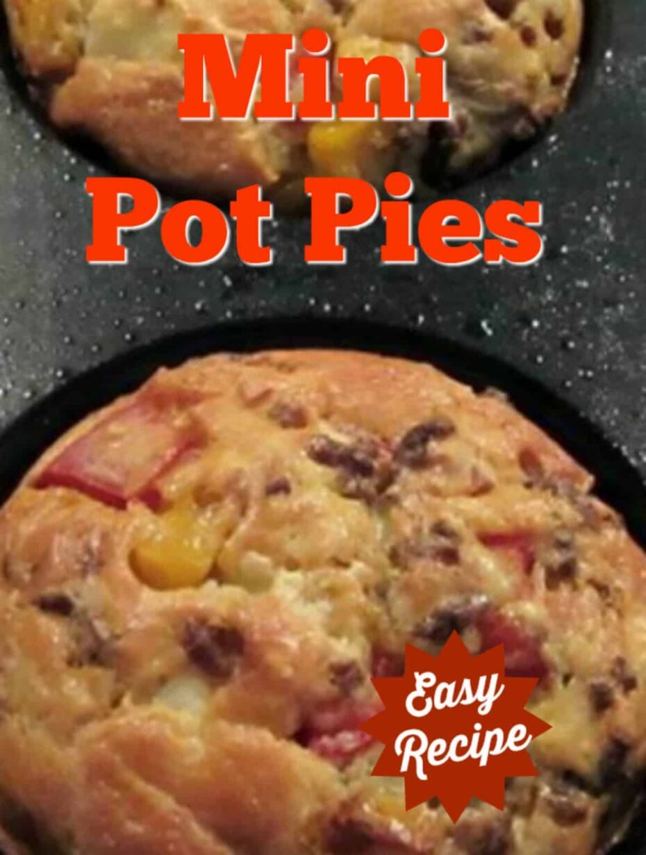 Mini Pot Pies & Homemade Bisquick Mix 4 Mini Pot Pies with lots of filling suggestions, such as chicken, beefburger, bacon and crab. There's also a homemade Bisquick Mix recipe