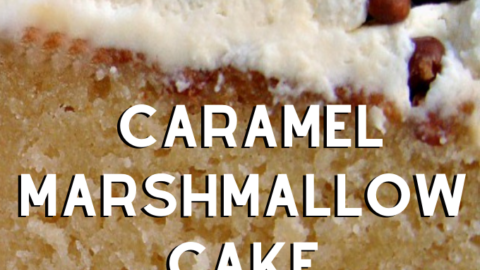 Caramel Marshmallow CakeP1
