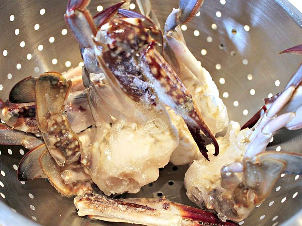 Chinese Crab with Scallions and Ginger! A great tasting seafood dish full of flavor and easy to make Chinese Crab with Scallions and Ginger! A great tasting seafood dish full of flavor and easy to make #Asian #Crab # #Chinese