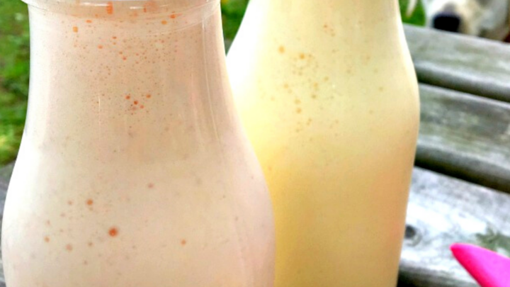 Easy Creamy MilkshakesH