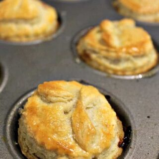 Homemade Mini Meat Pies have a delicious flaky pie crust, are simple and quick to make and great for lunch boxes, parties, picnics and snacks. freezer friendly too!