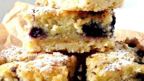 Blueberry Coconut Bars Hero