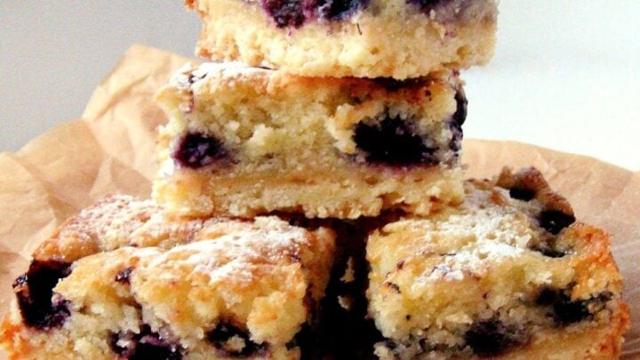 Blueberry Coconut BarsF