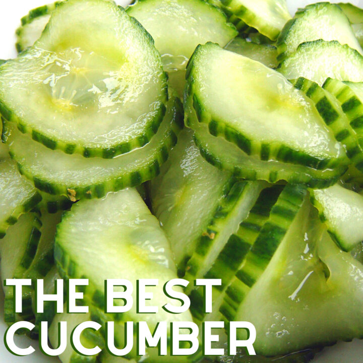 The Best Easy Cucumber Salad The Best Easy Cucumber Salad. Great Flavors and always a hit! Very refreshing taste and crunch with a sweet and sour pickled juice