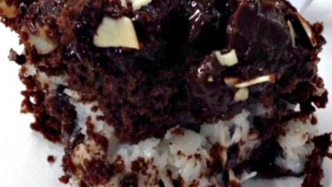 Gold Miner's Almond Joy Cake. A super moist, delicious, and rich cake. Loaded with chocolate, marshmallows, coconut, almonds. An amazing cake and perfect for parties!