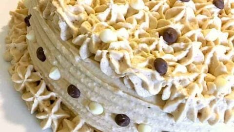 Pecan Cake WIth Salted Caramel Frosting is an easy recipe giving you a soft, fluffy cake and a creamy frosting, perfect for any celebration!