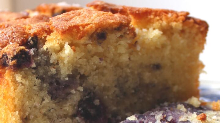 Blueberry Coconut Pound Cake. A deliciously soft coconut cake with a sprinkling of juicy blueberries, made from scratch and really easy recipe
