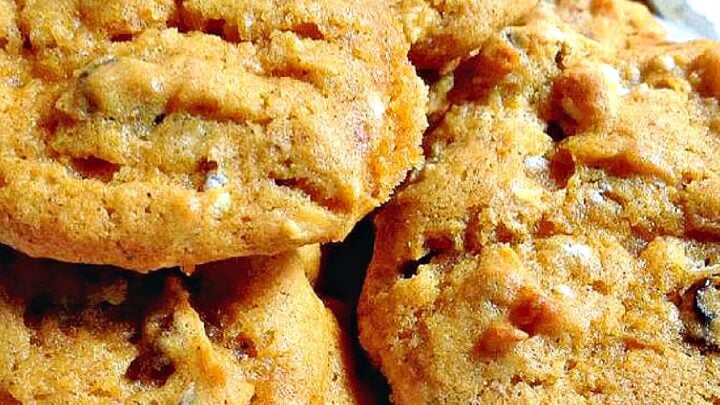 Pumpkin Cookies . Delicious cookies with pureed pumpkin and chocolate chips make for a popular snack with a cold glass of milk! Be sure you make up plenty!