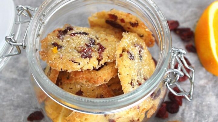 Cranberry and Orange ThinsH