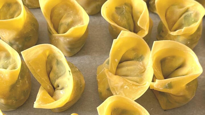 Make your very own Chinese WontonH
