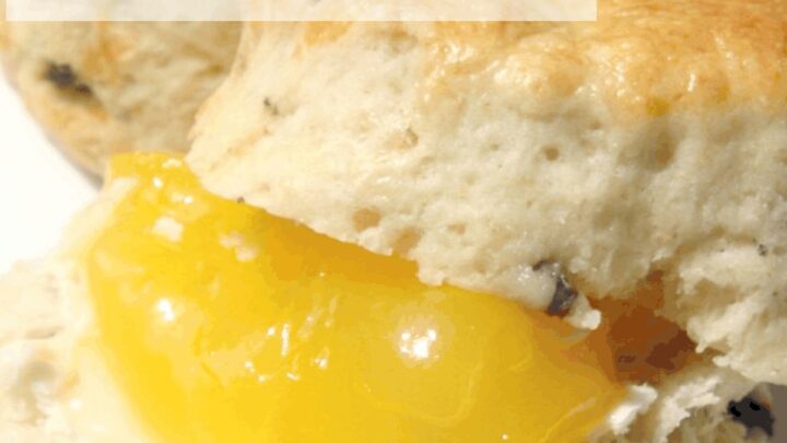 Classic English SconesH