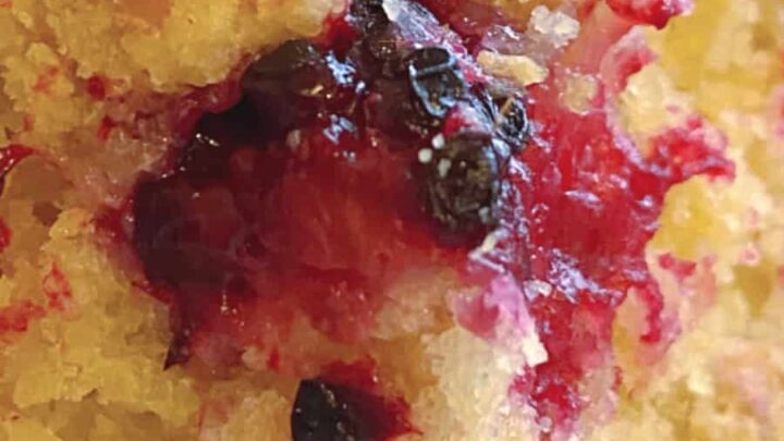 Easy Homemade Raspberry Crumb Bars A