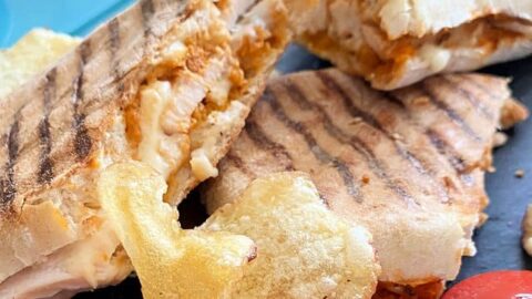 Chicken Panini Web story cover