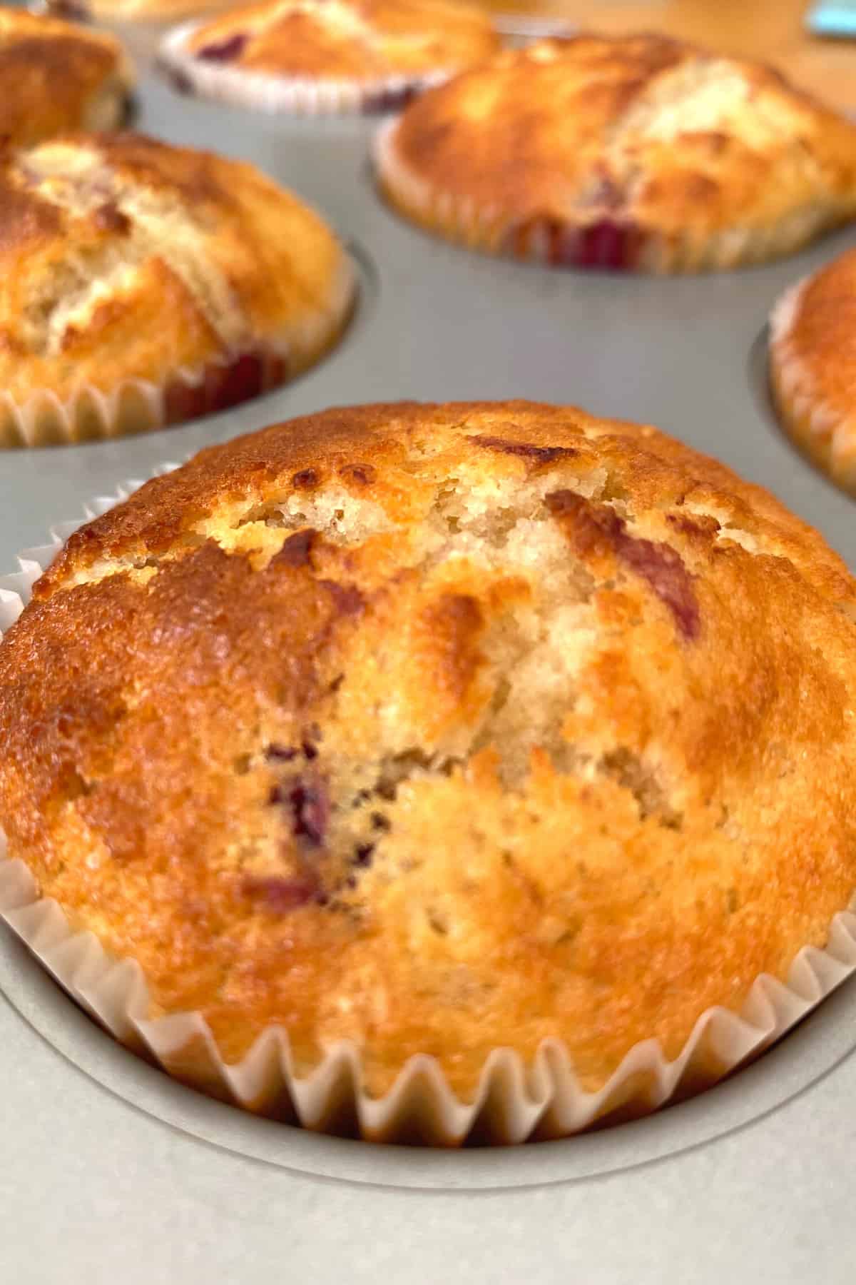 Fluffy Cherry Oatmeal Breakfast Muffins, baked muffin Fluffy Cherry Oatmeal Breakfast Muffins, baked muffin