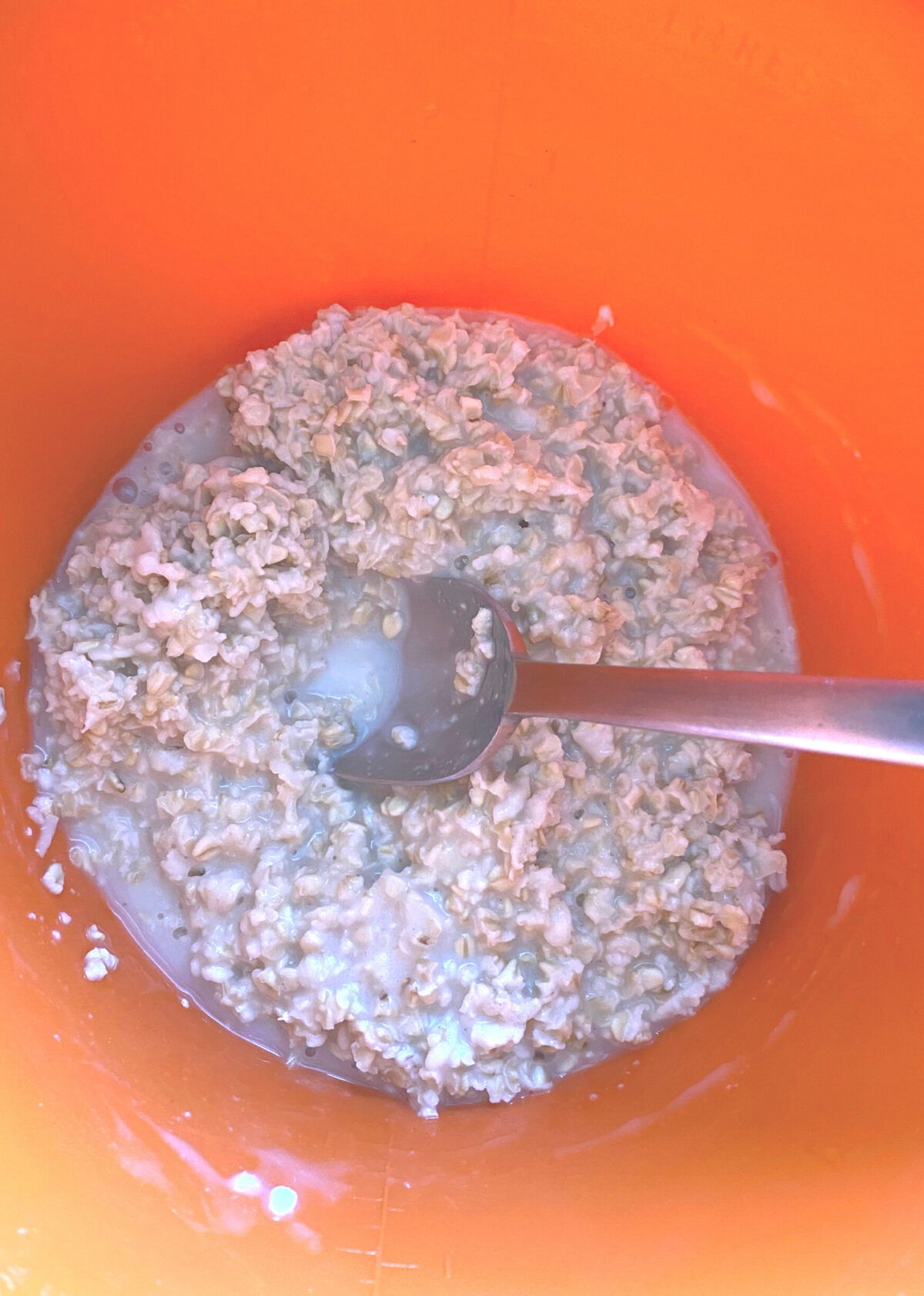 Lazy Daisy Rhubarb Oatmeal Cake, adding milk to oats Lazy Daisy Rhubarb Oatmeal Cake, adding milk to oats